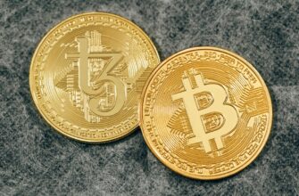 luchshij sposob zashhitit apparatnyj kosheljok anonichno