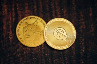 poluchit besplatno bitkoin airdrop na layerzero
