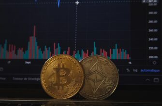 poluchit besplatno ton airdrop na polygon bez kyc