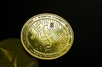 sobrat testnet token airdrop na starknet dlja novichkov