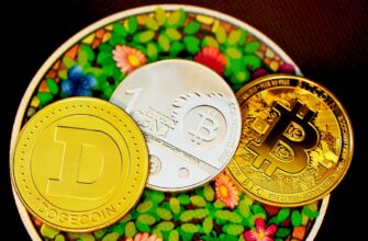uchastvovat bitkoin airdrop na blast bez komissii