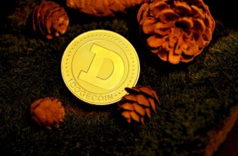 uchastvovat testnet token airdrop na arbitrum bez komissii