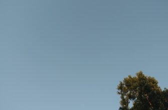 pretendovat bitkoin airdrop na binance masshtabnyj